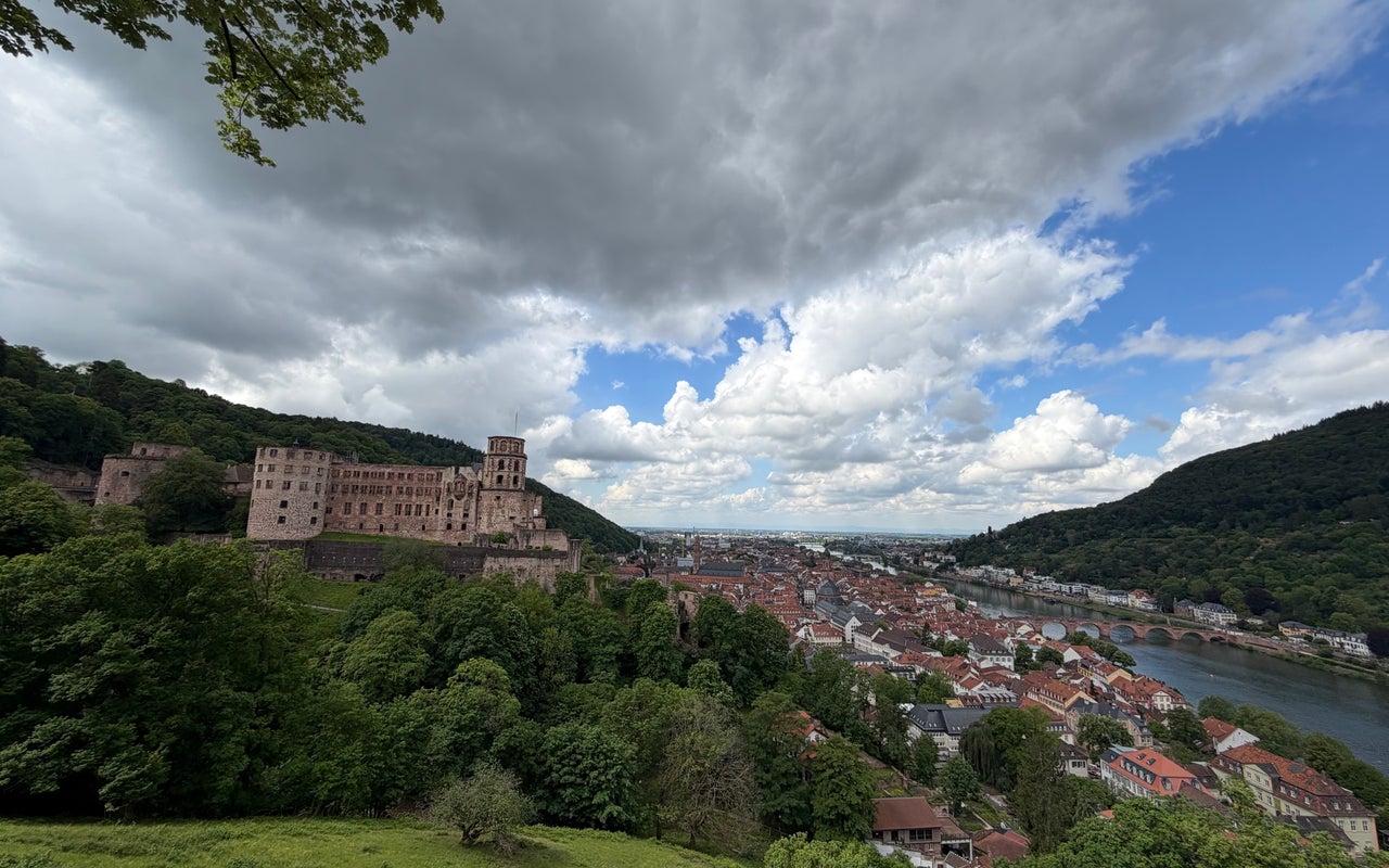 Heidelberg Castle (Heidelberger Schloss)