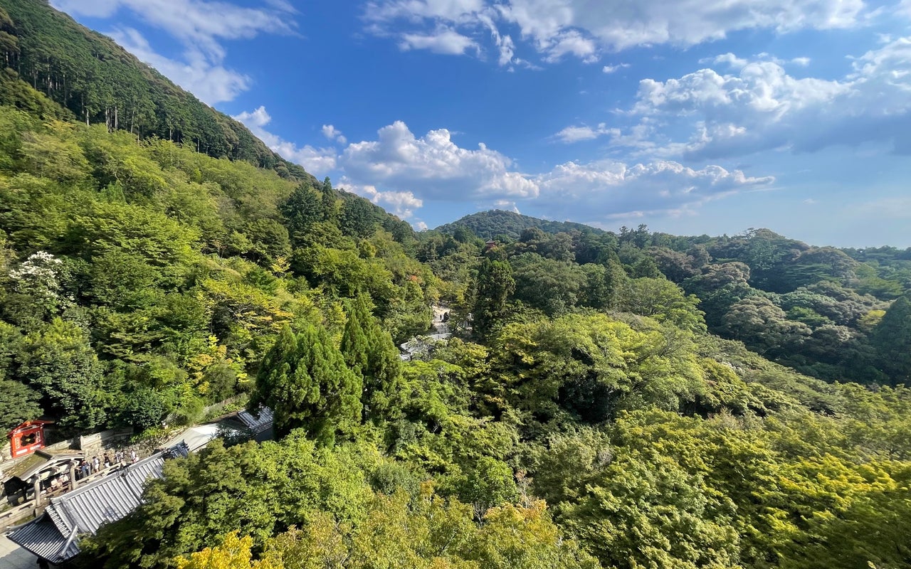Kiyomizu-dera Temple (清水寺)