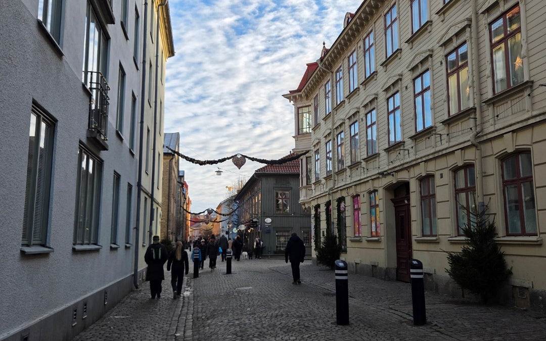 Haga Nygata