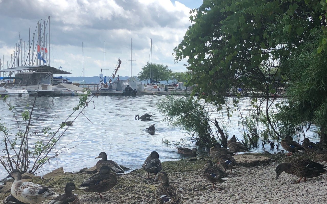 LaSalle Park