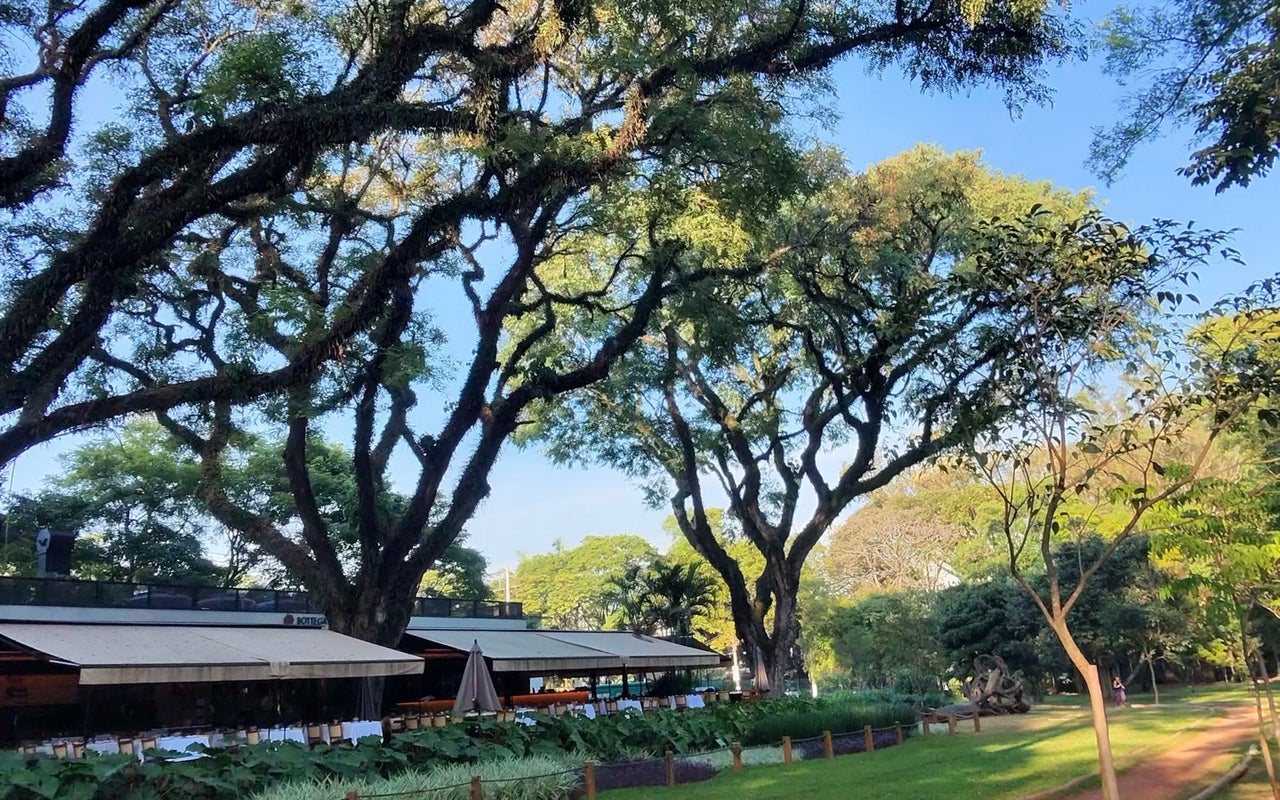 Ibirapuera Park (Parque Ibirapuera)