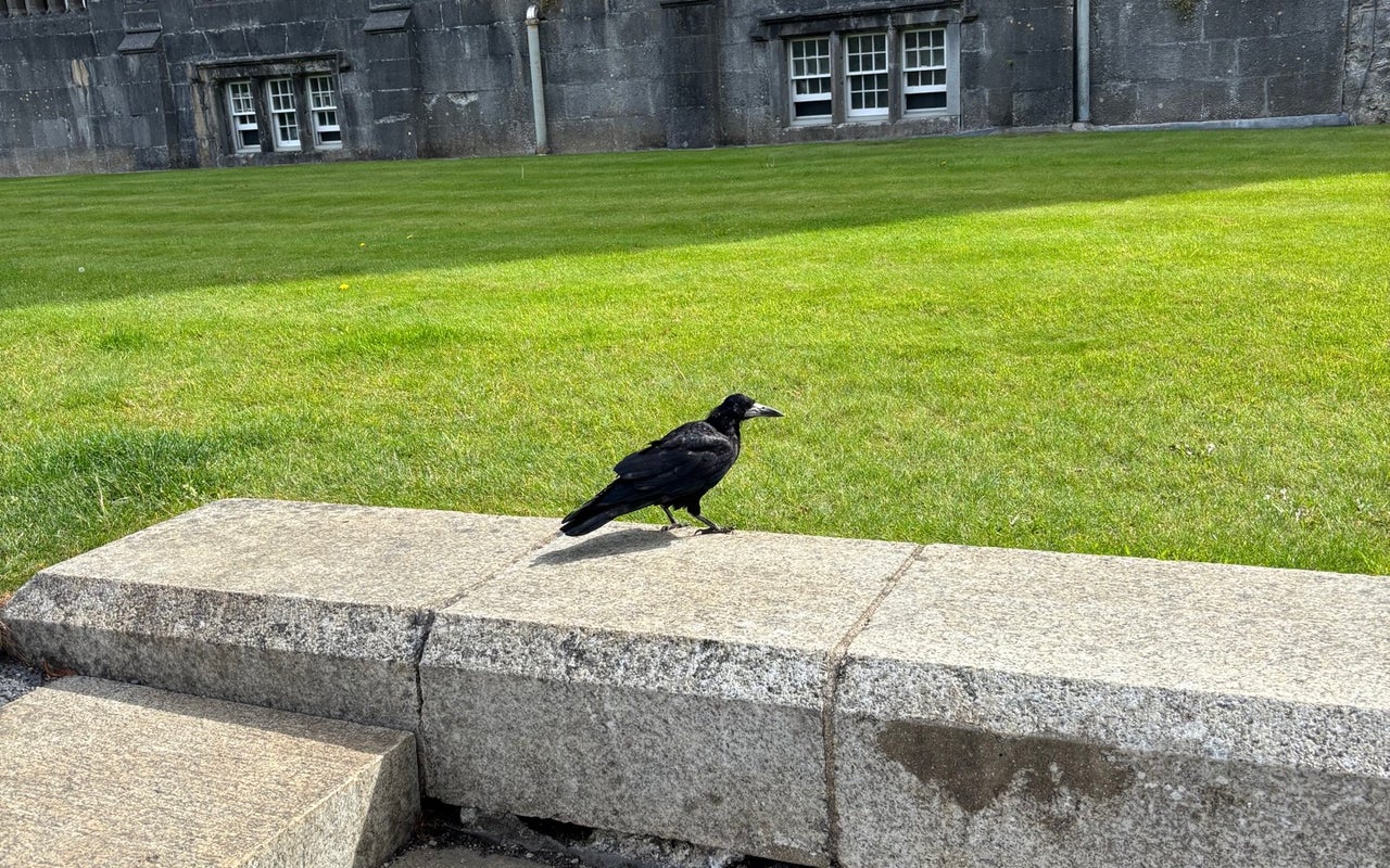 Kilkenny Castle