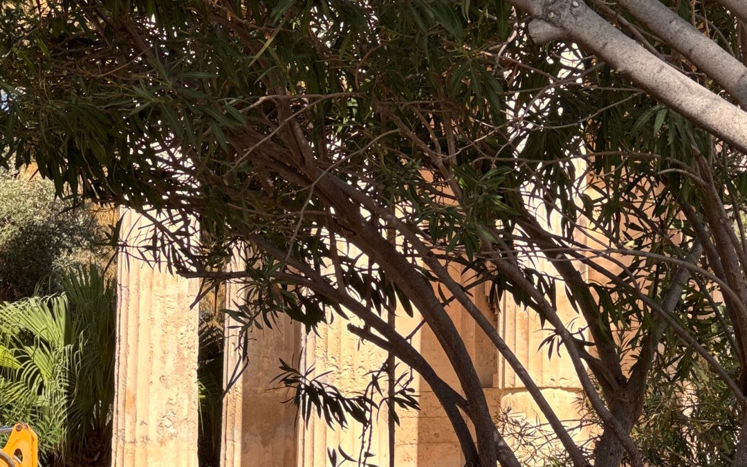 Lower Barrakka Gardens