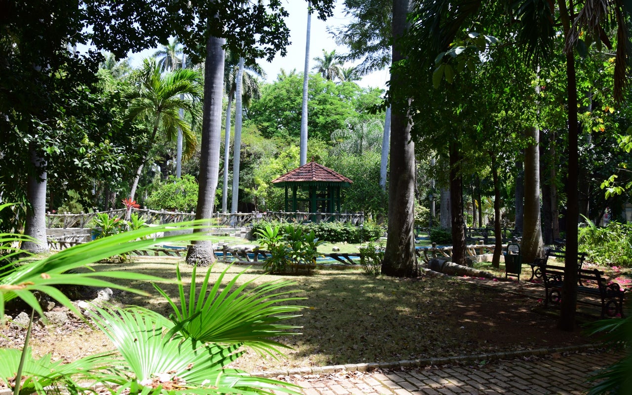 Jardín Botánico Nacional de Cuba