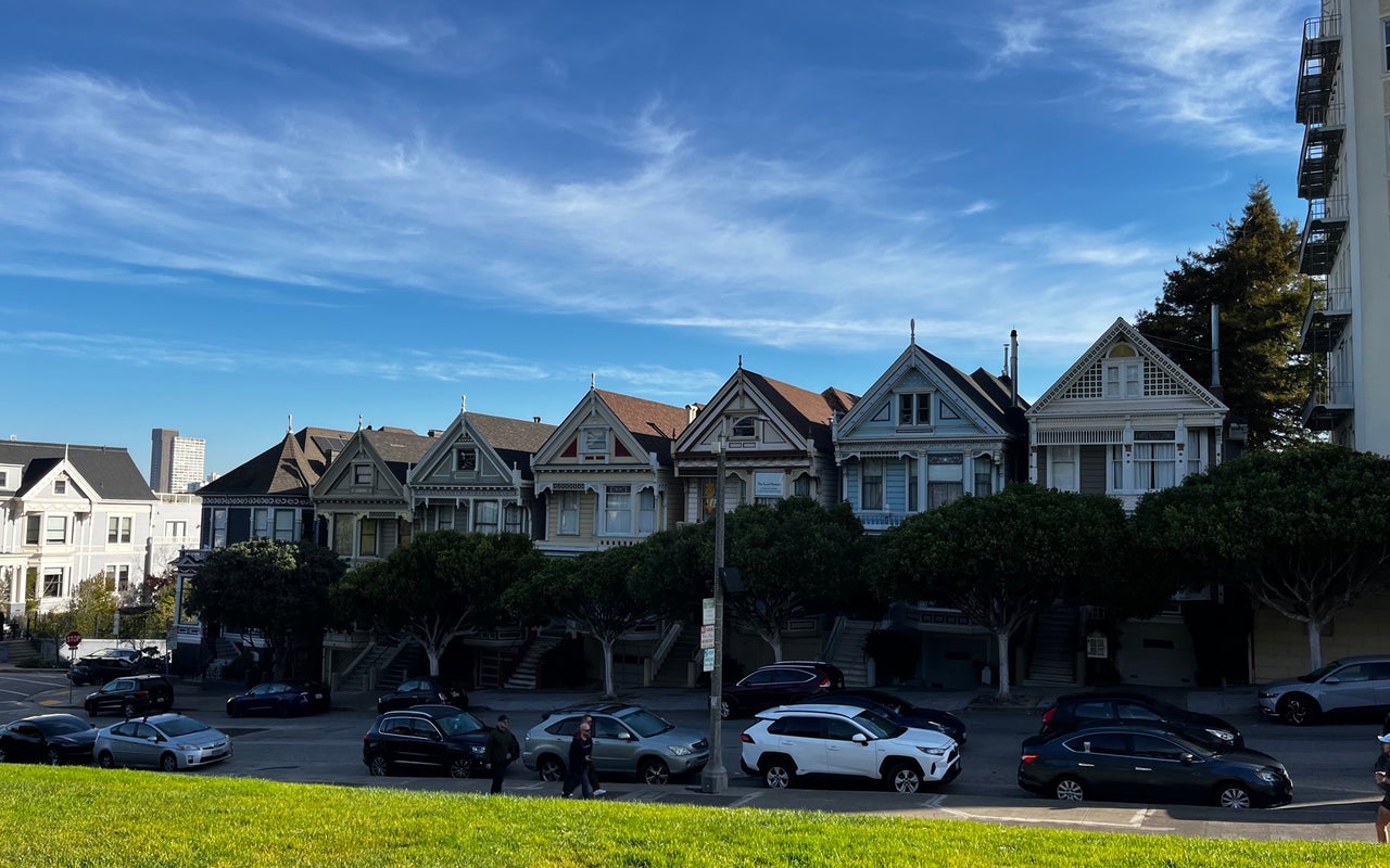 Painted Ladies