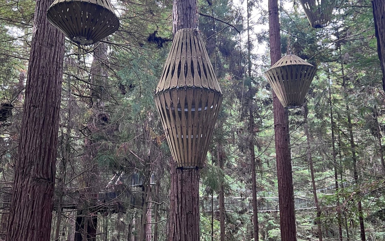 Redwoods Treewalk