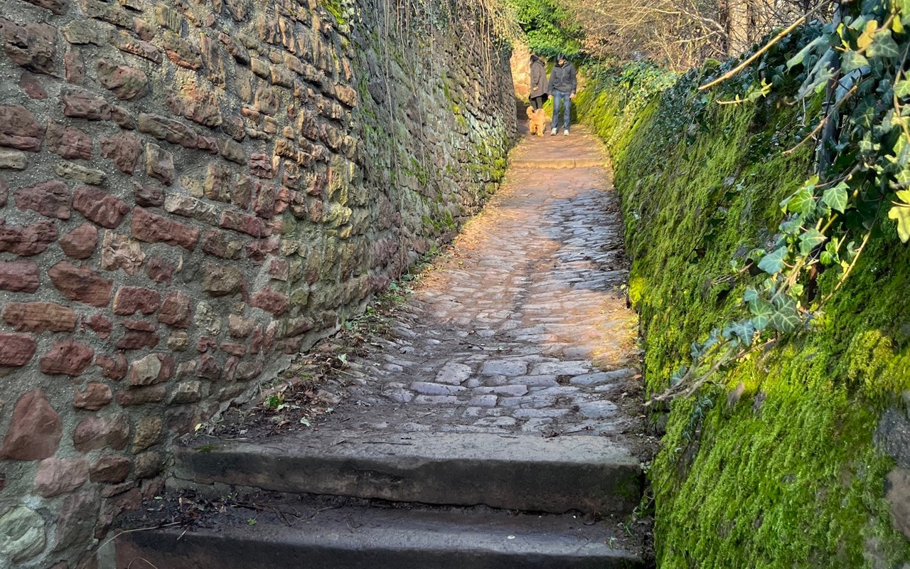 Philosopher's Way (Philosophenweg)