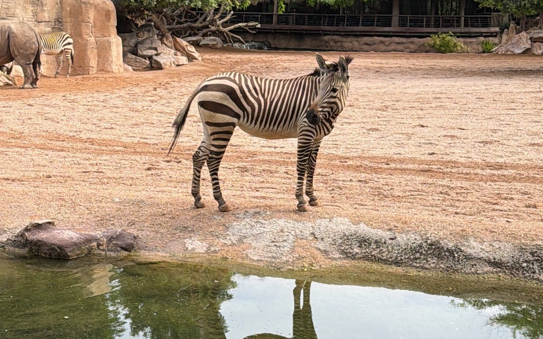 BIOPARC Valencia