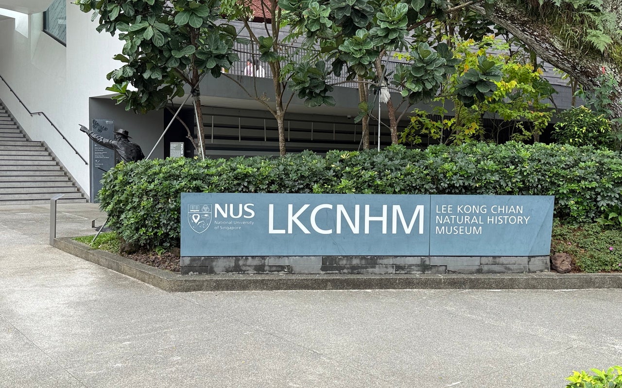 Lee Kong Chian Natural History Museum