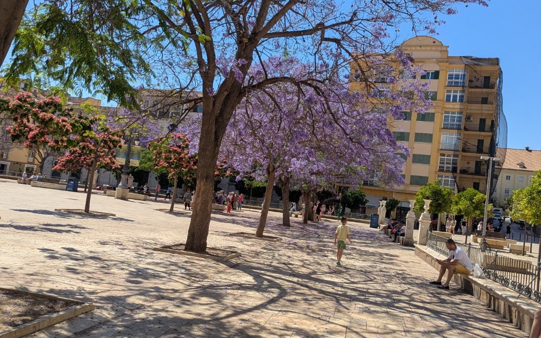 Plaza de la Merced