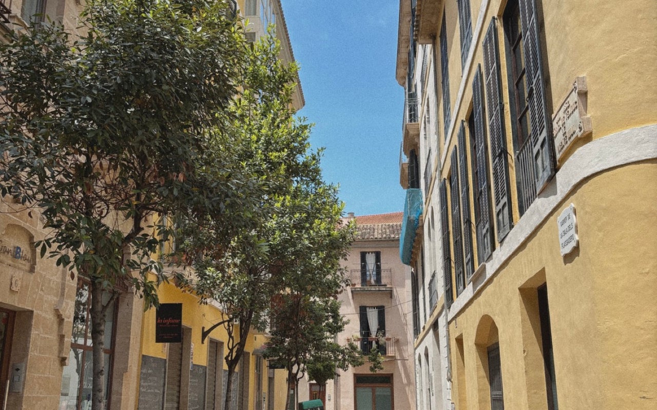 Palma Old Town (Palma Centro Histórico)