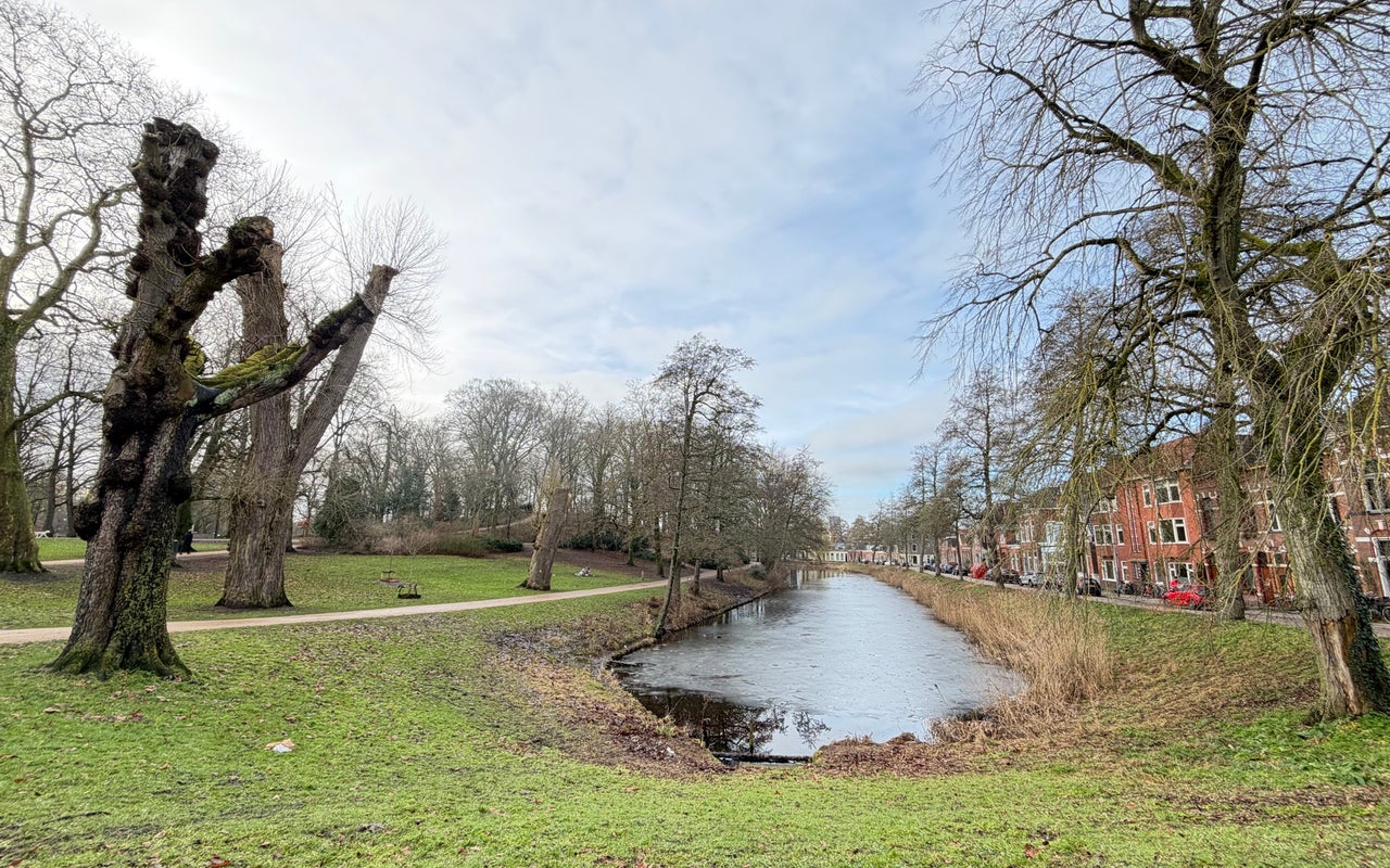 Noorderplantsoen