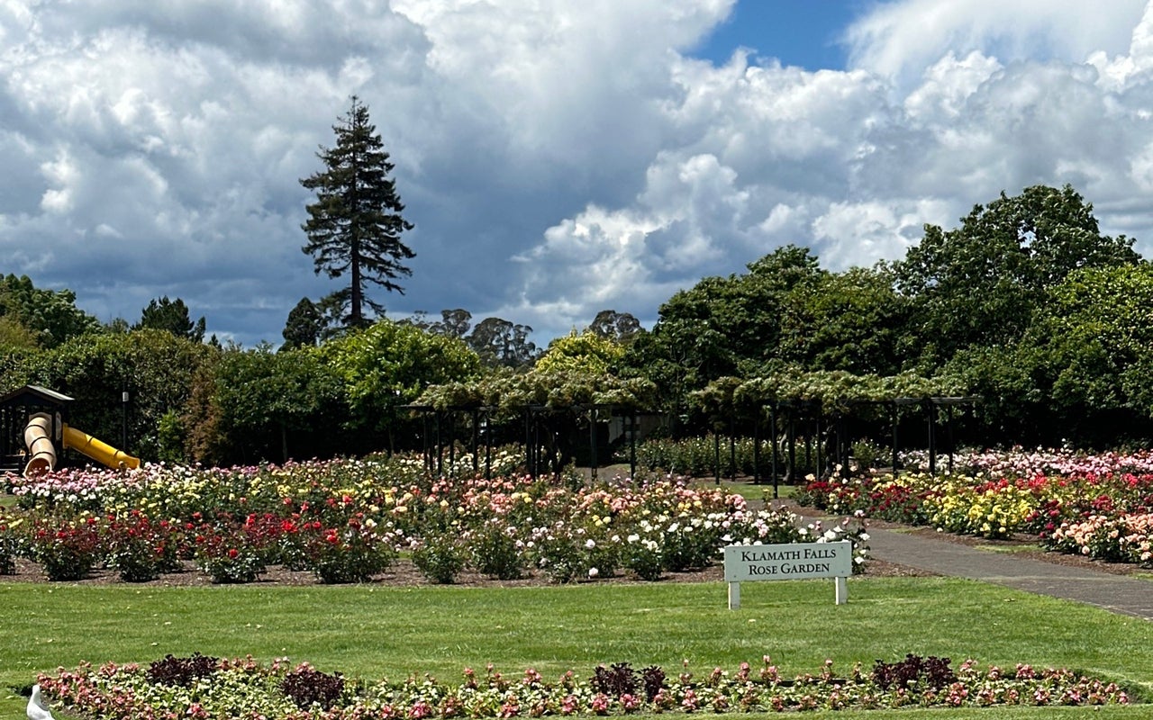 Government Gardens