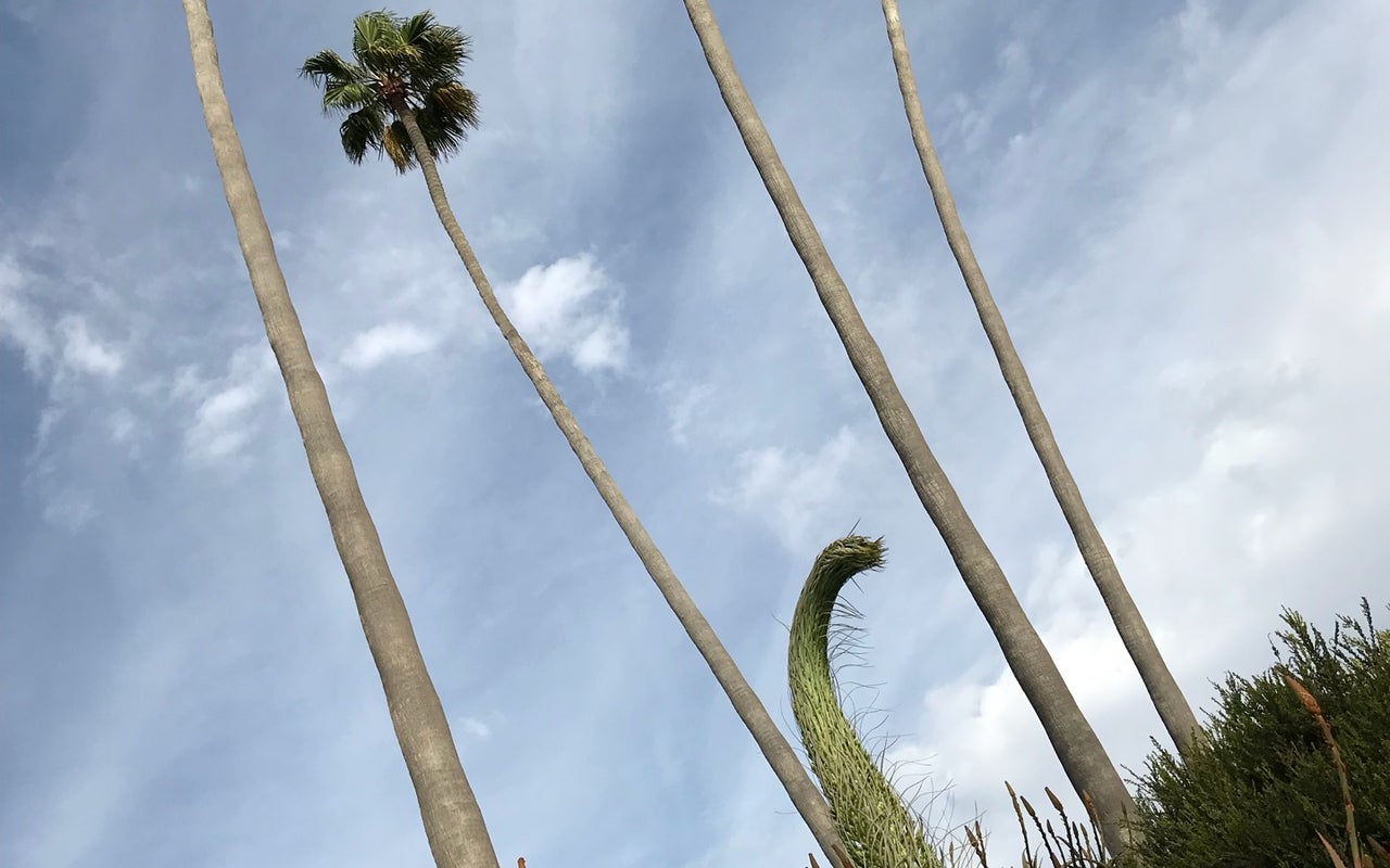 Heisler Park
