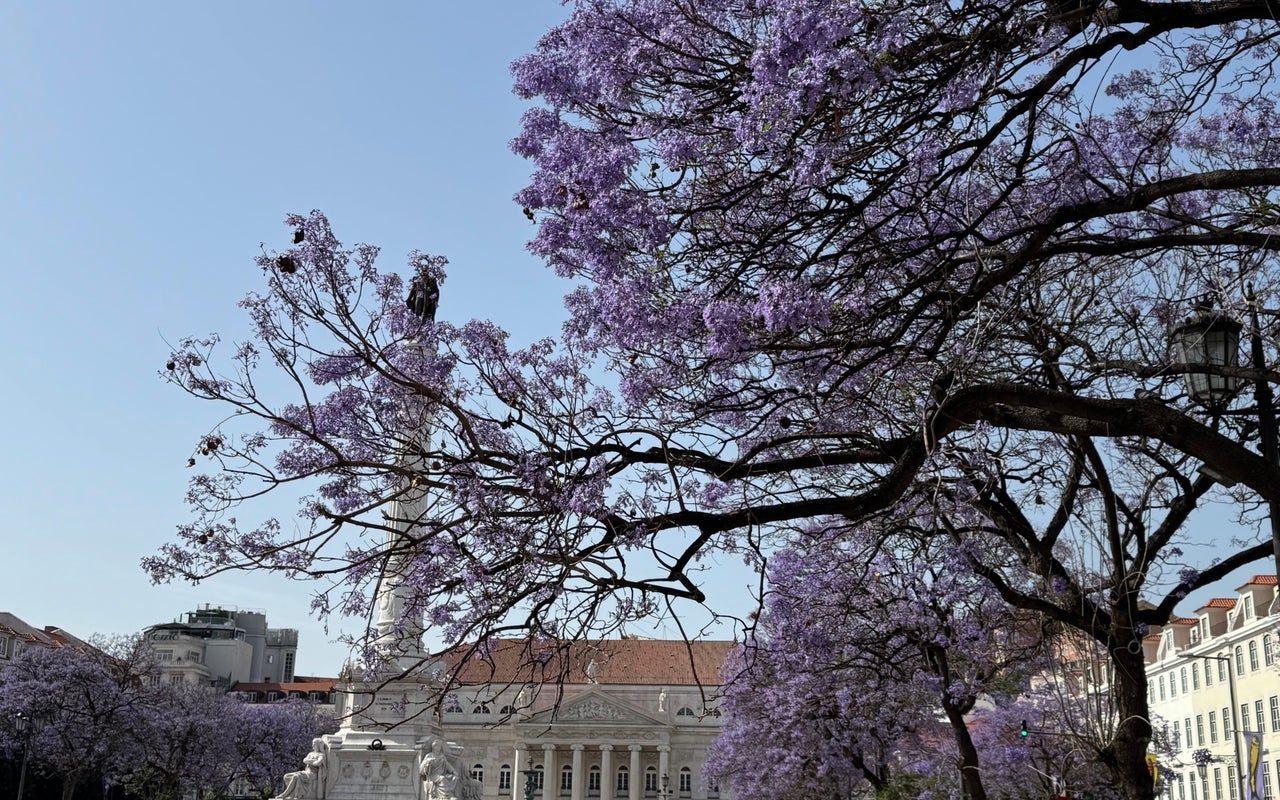 Rossio Square (Rossio)