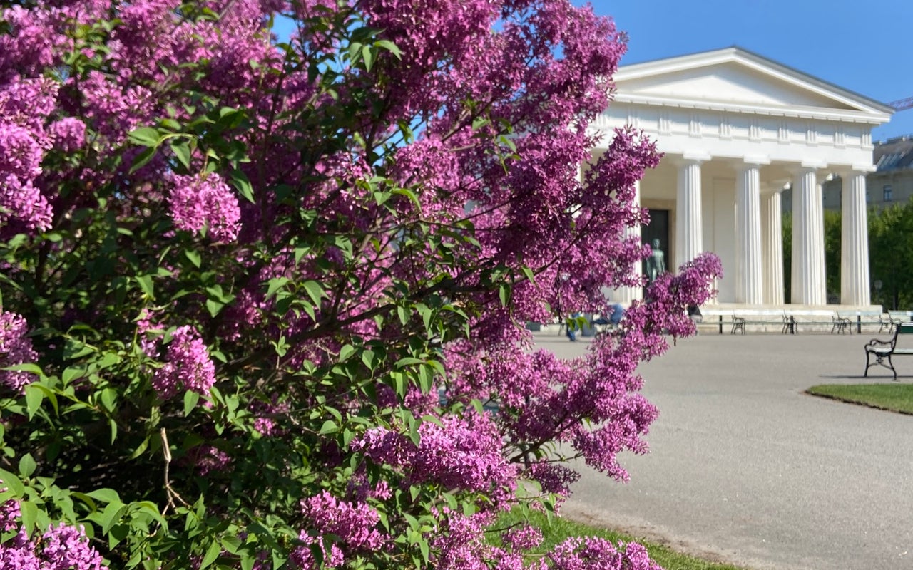 Volksgarten