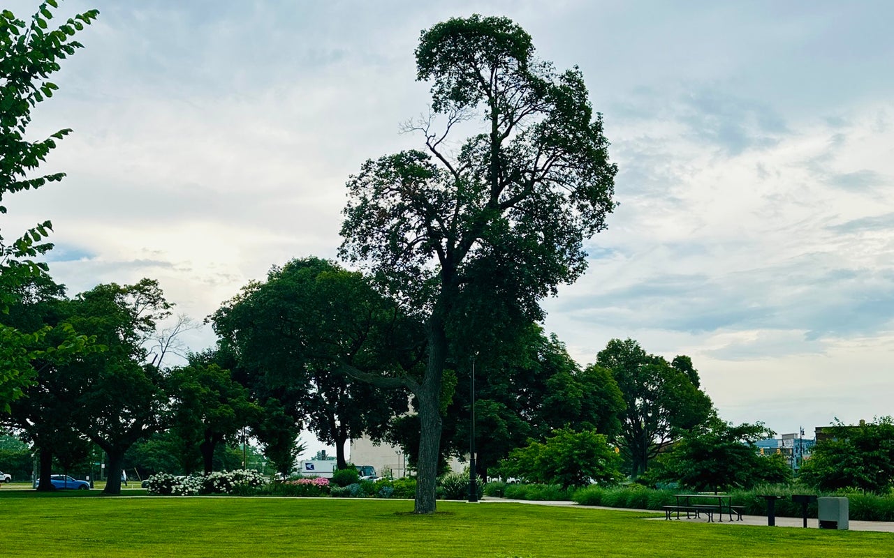 Roosevelt Park