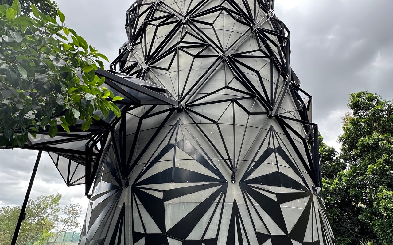 Brisbane Botanic Gardens