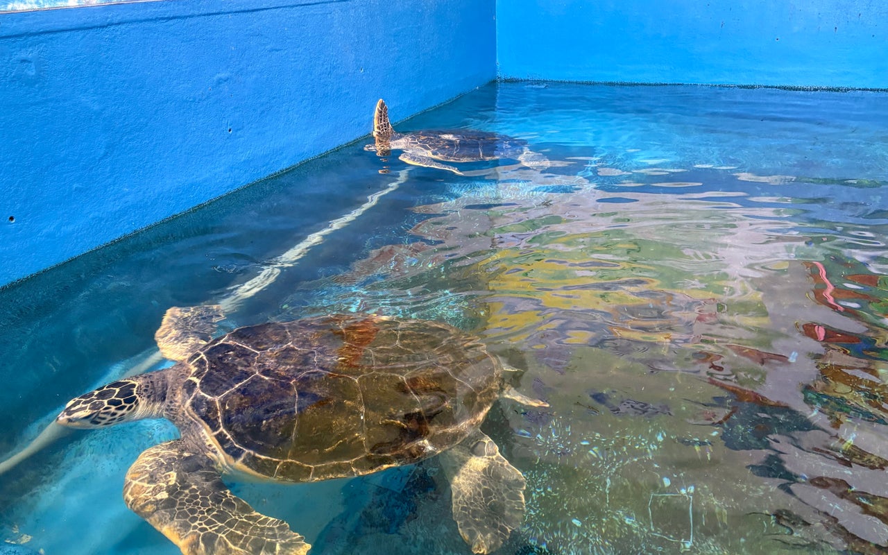 Otaru Aquarium (おたる水族館)