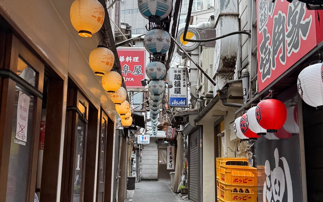 Omoide Yokocho (思い出横丁)