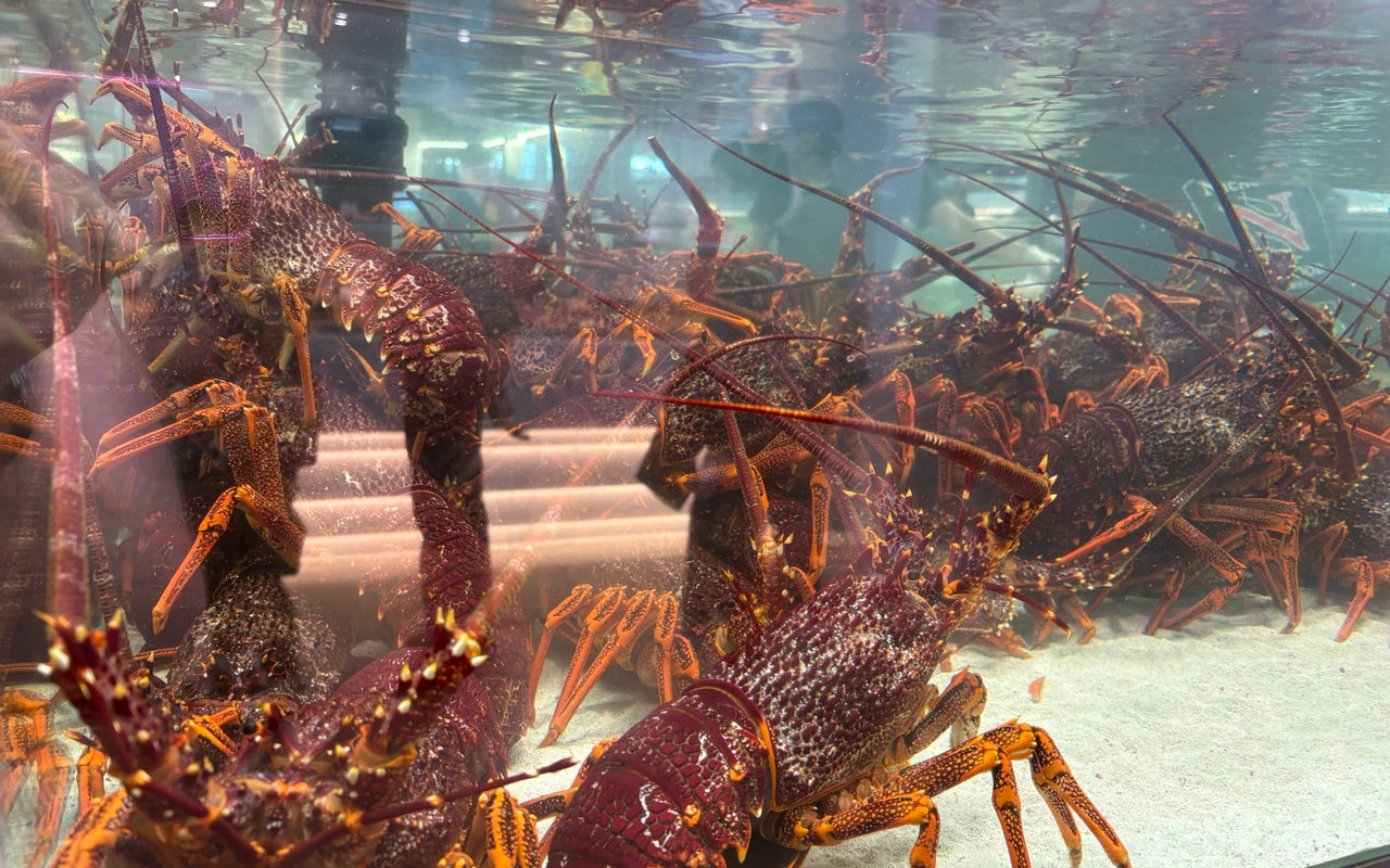 Sydney Fish Market