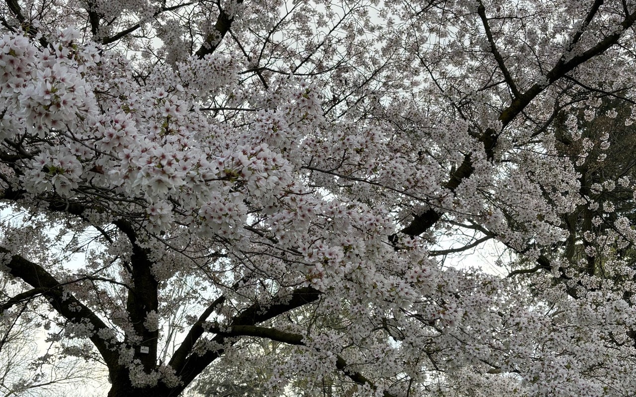Giardini Margherita