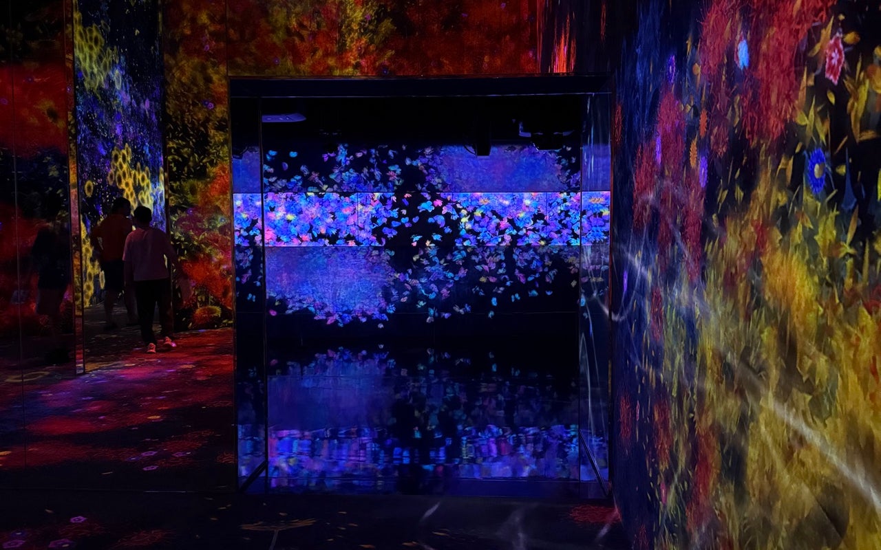 teamLab Borderless (チームラボボーダレス)