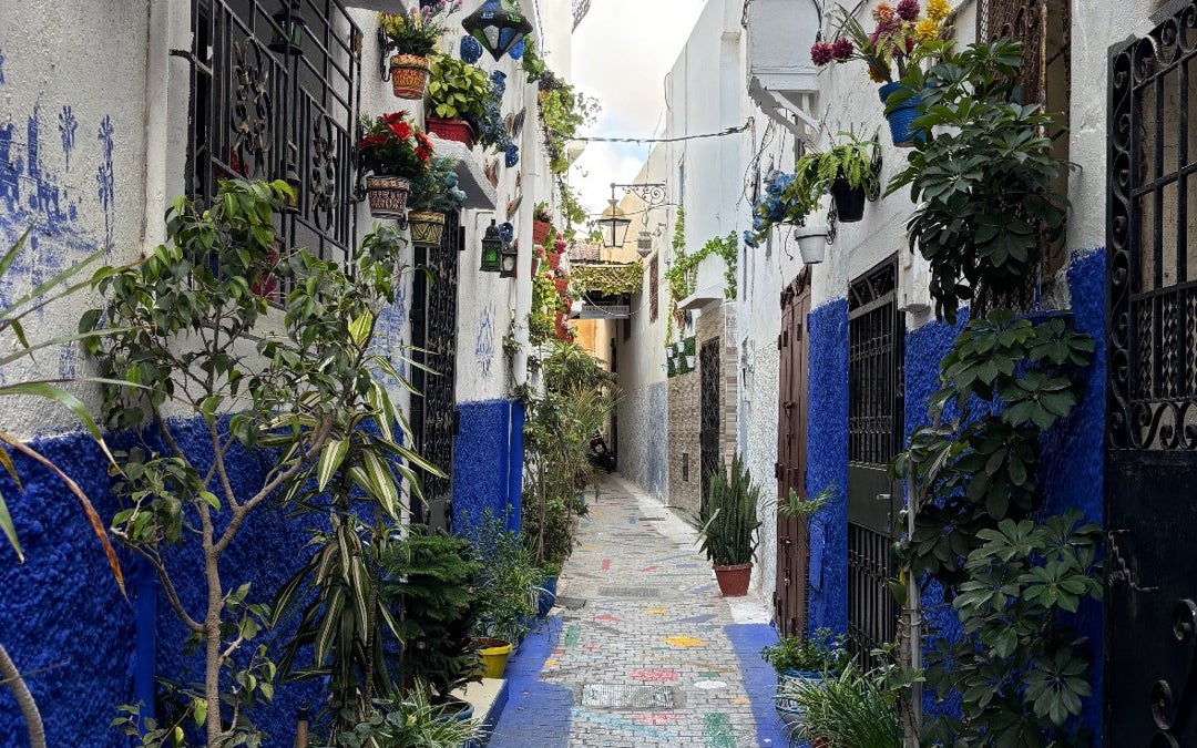 Medina