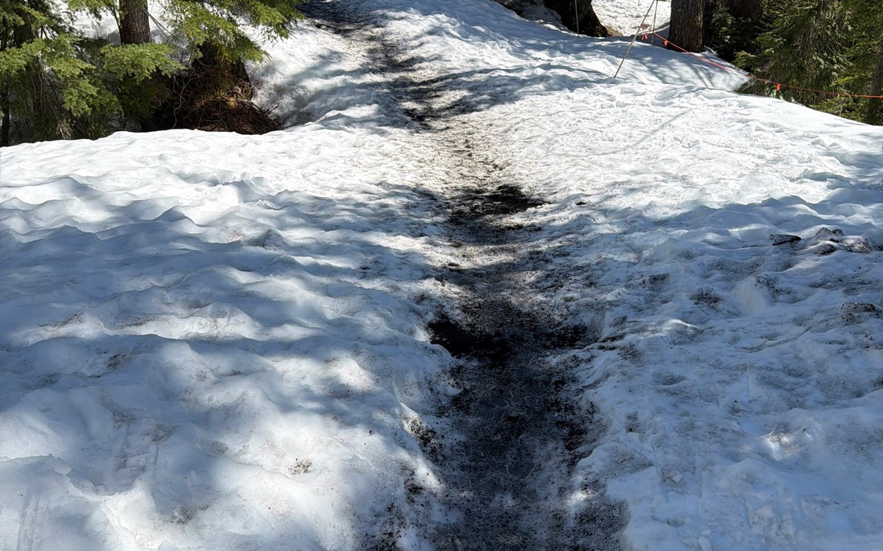 Grouse Mountain