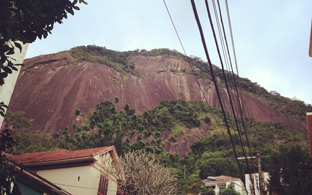 Floresta da Tijuca