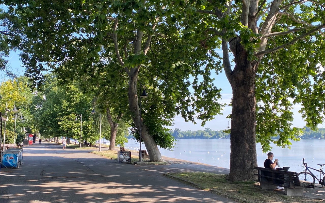 Zemun Quay (Kej oslobođenja)