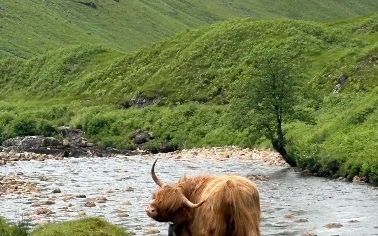 Glencoe