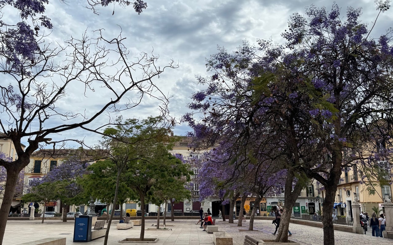 Fundación Picasso - Museo Casa Natal