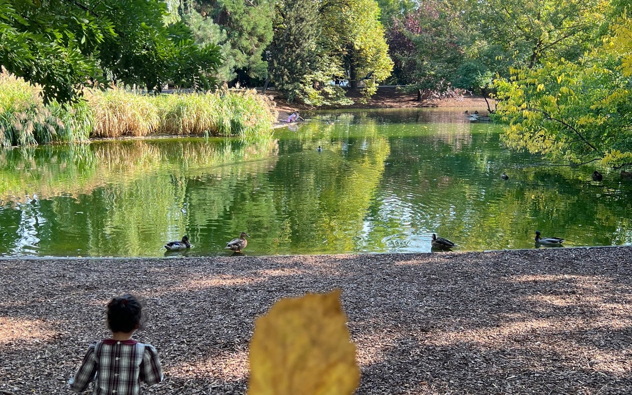 Stadtpark