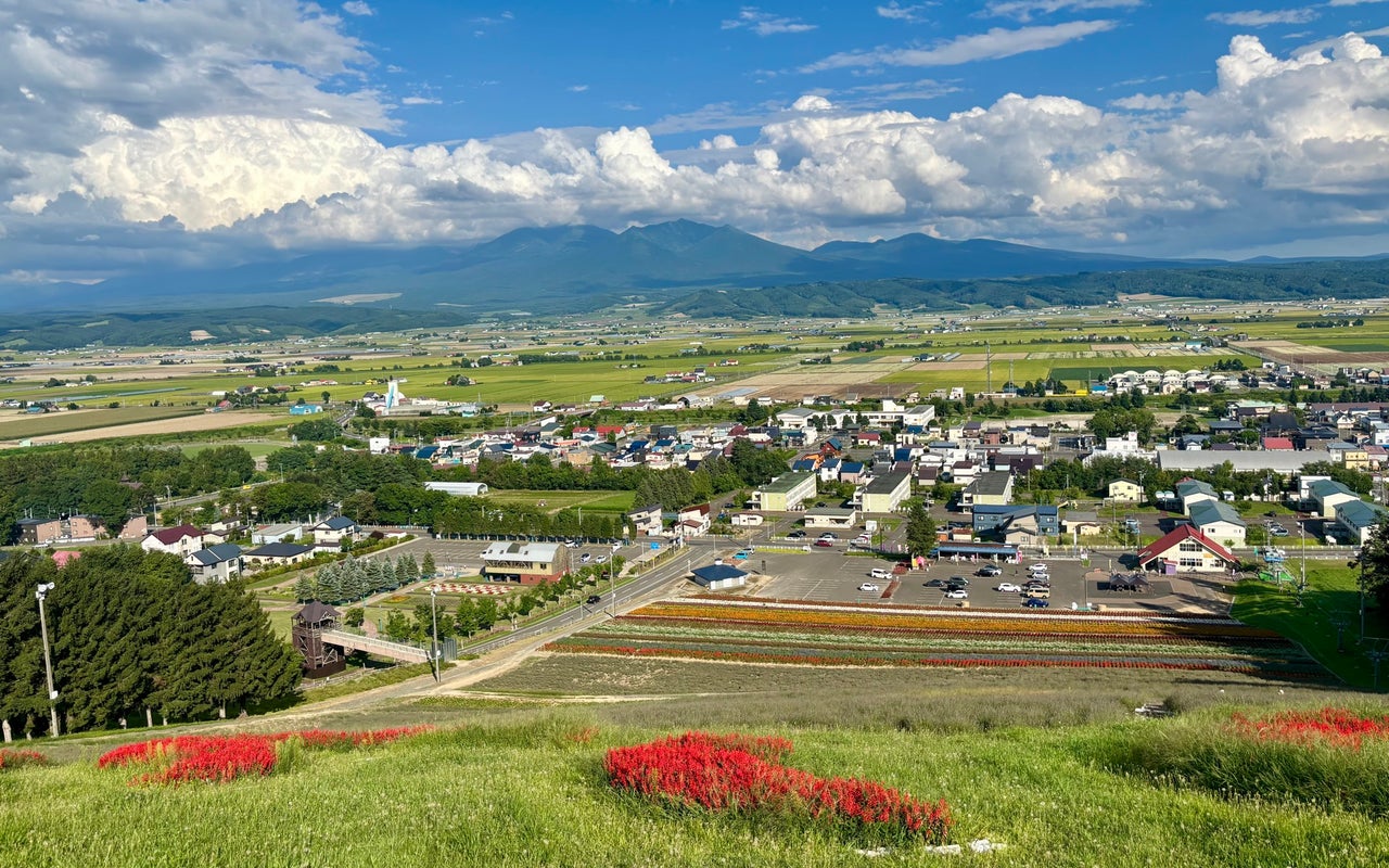 Nakafurano Lavender Park (中富良野町営ラベンダー園)