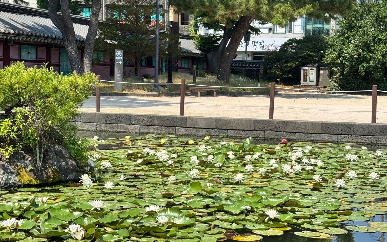 Jejumok Gwana (제주목관아)
