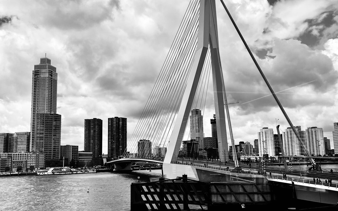 Erasmus Bridge (Erasmusbrug)