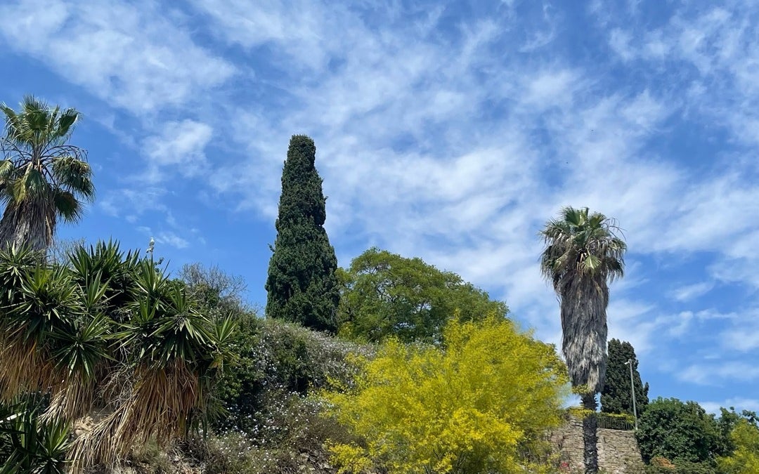 Jardins de Mossèn Costa i Llobera
