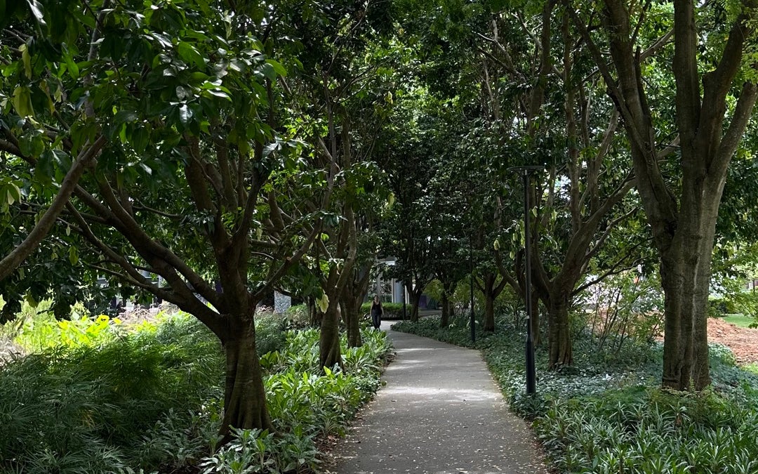 Gardens by the Bay