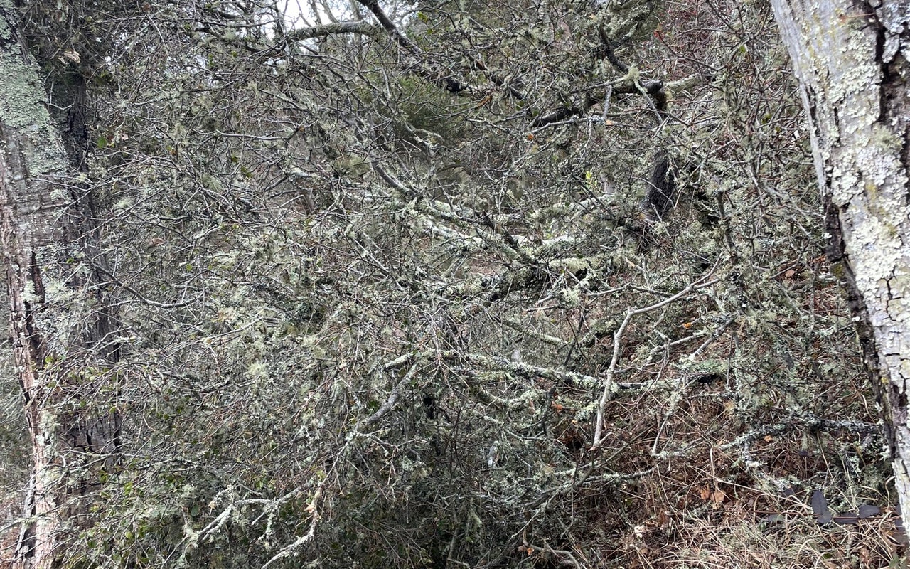 Angel Island State Park
