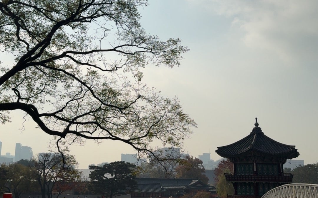 Cheonggye Plaza (청계광장)