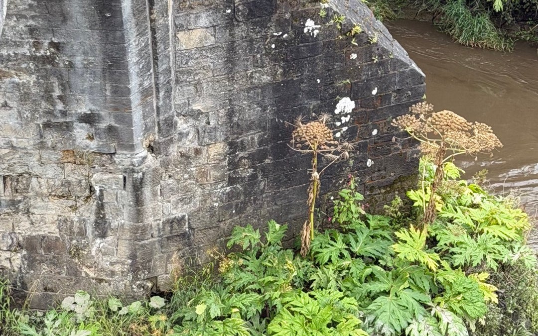 Old Stirling Bridge