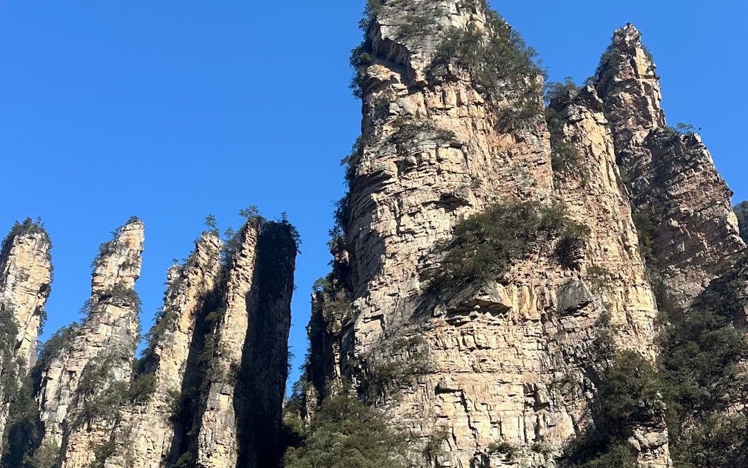 Yuanjiajie Scenic Area (袁家界风景区)
