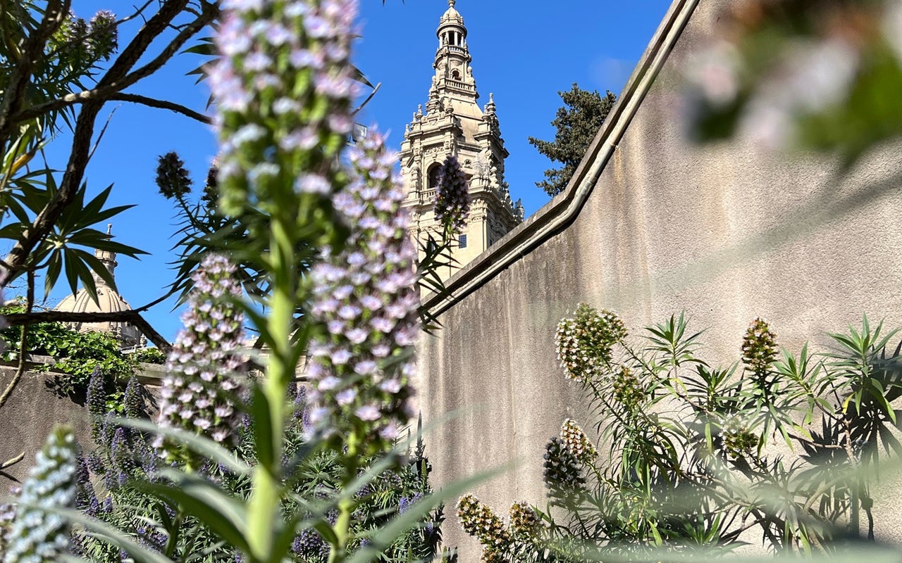 Jardí Botànic de Barcelona