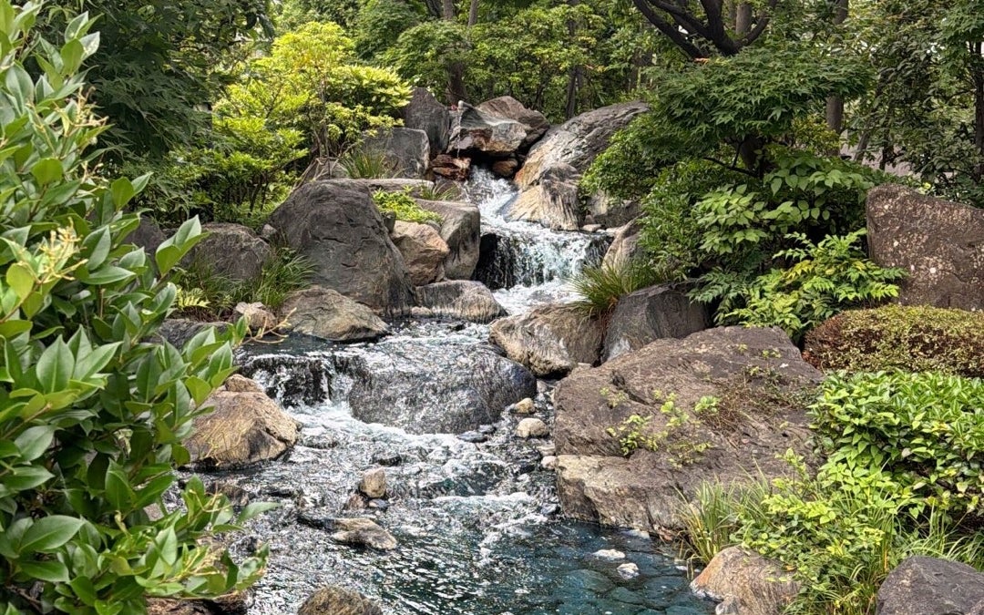 Senso-ji Temple (浅草寺)
