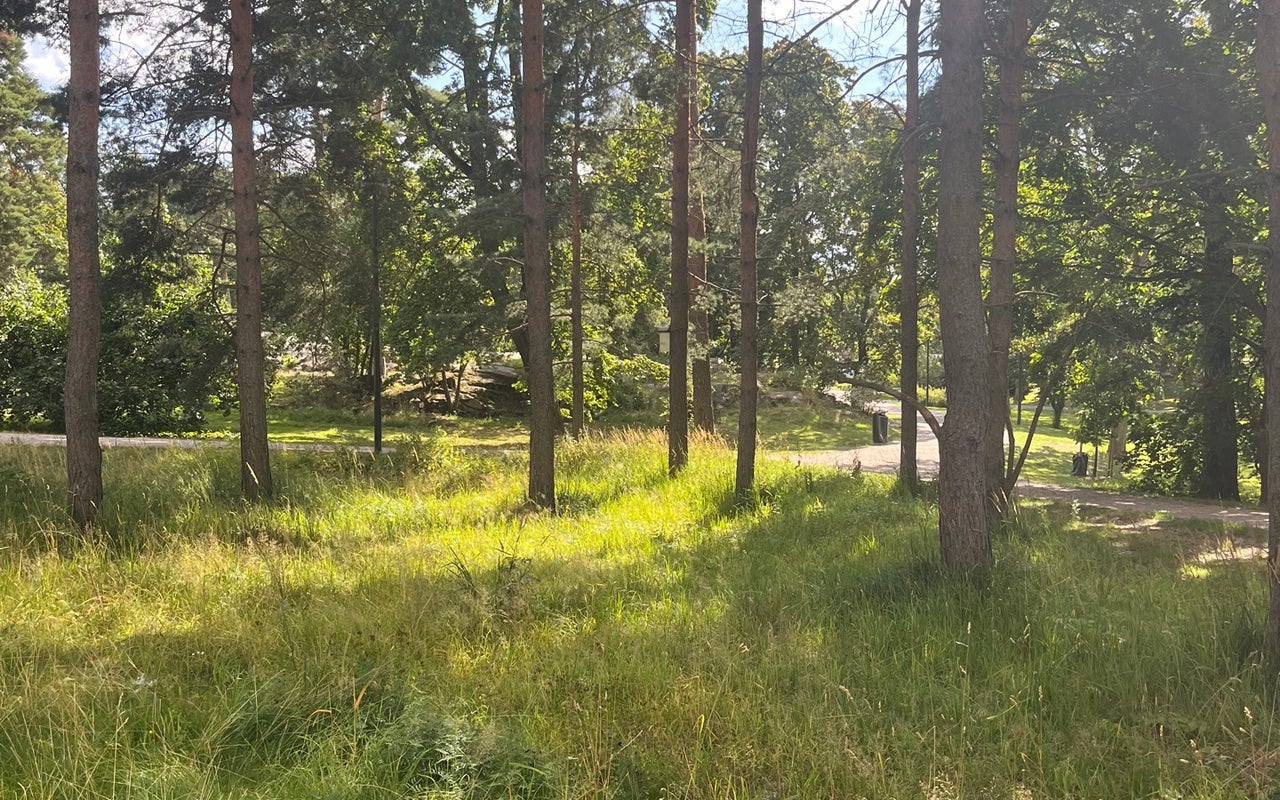 Sibelius Park (Sibeliuksen puisto)