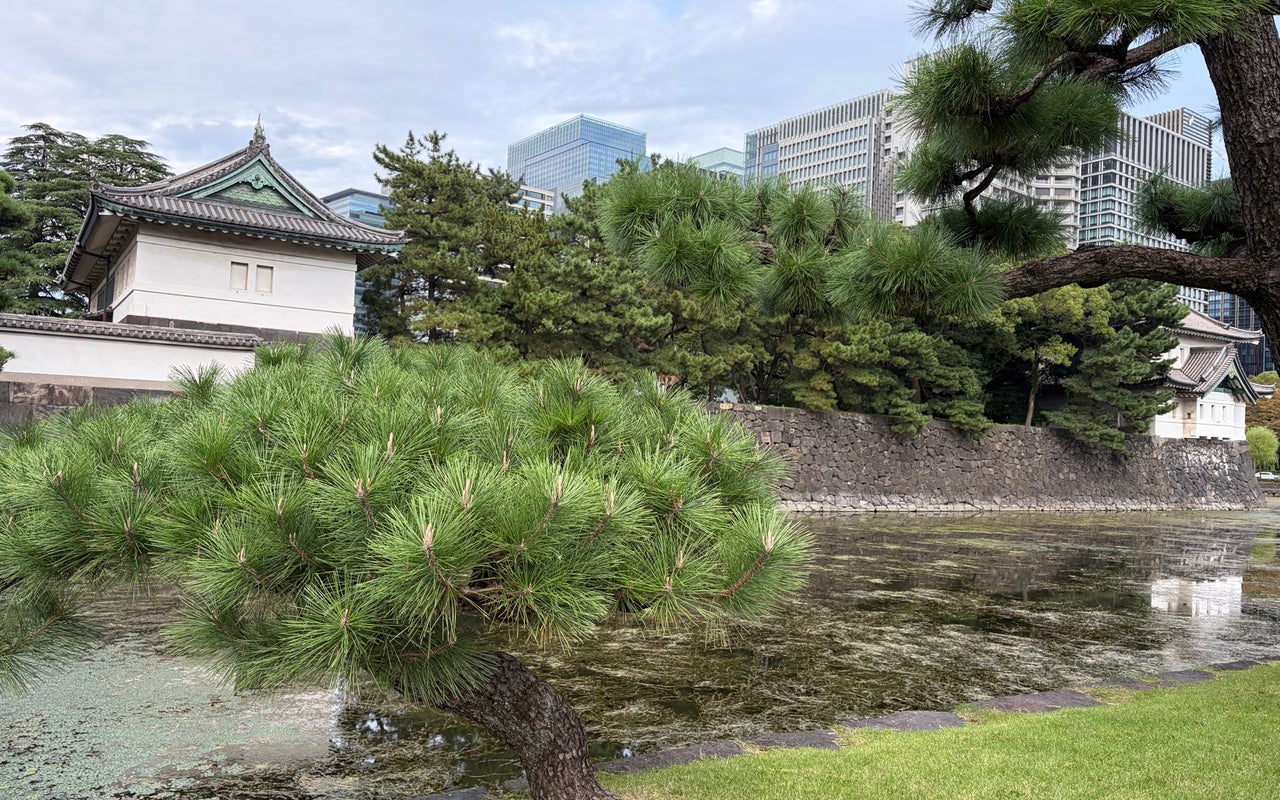 Kikyomon Gate (桔梗門 (内桜田門))
