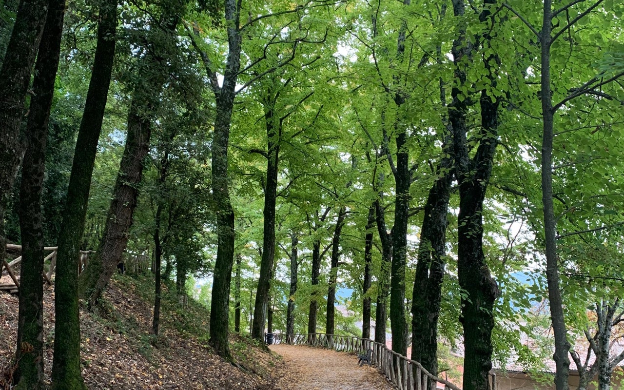 Parco Ranghiasci
