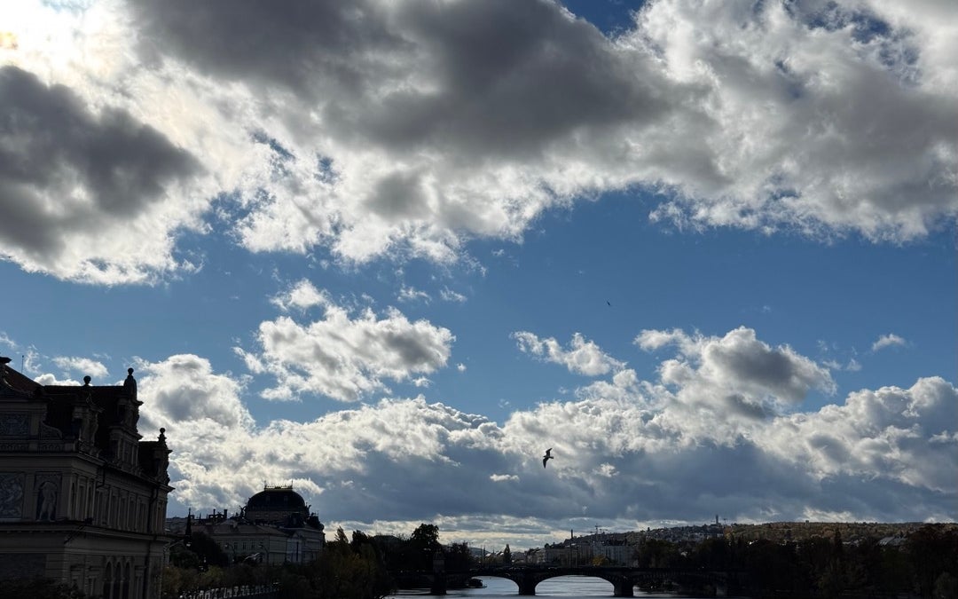 Charles Bridge (Karlův most)