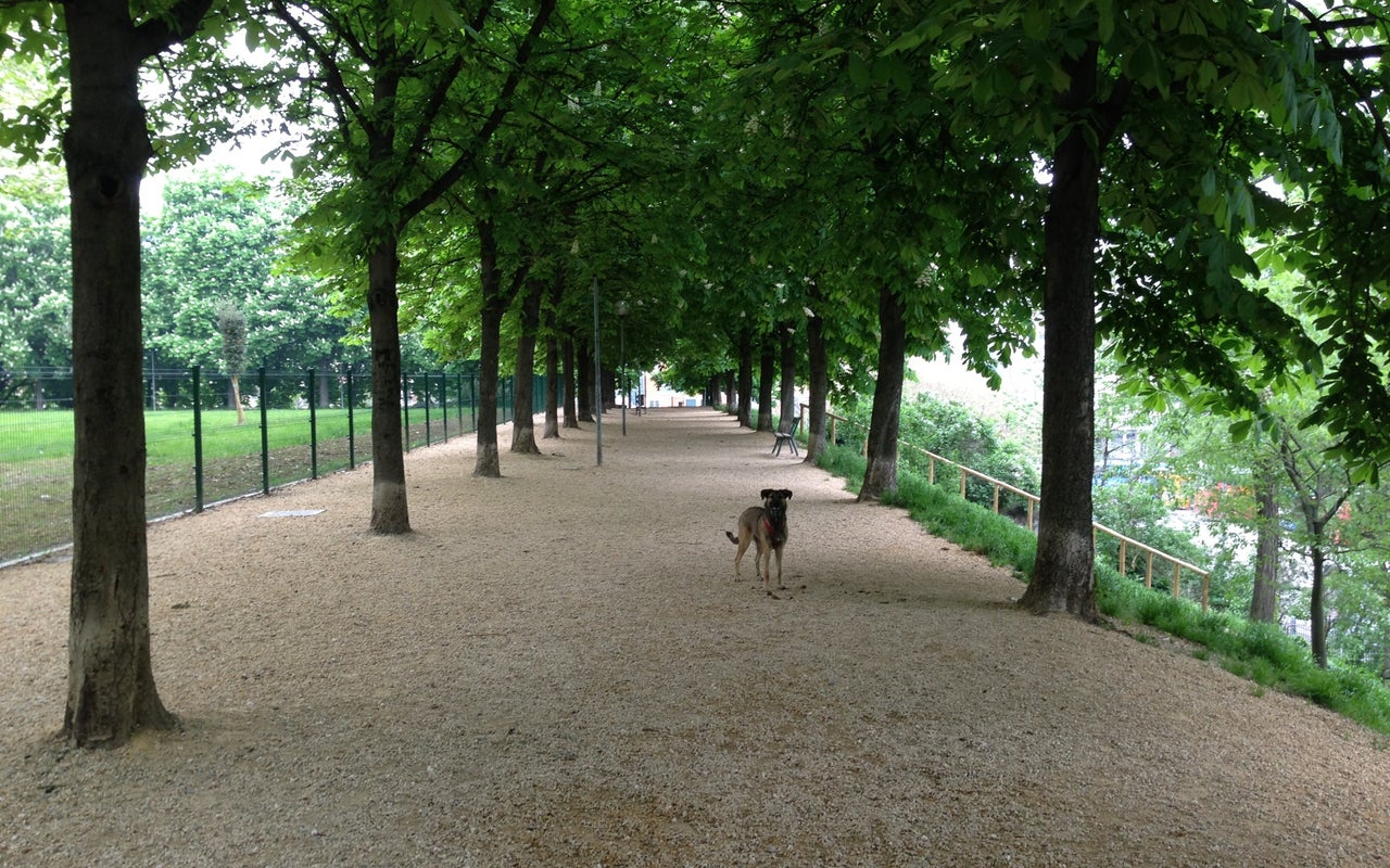 Area Cani Parco Della Montagnola
